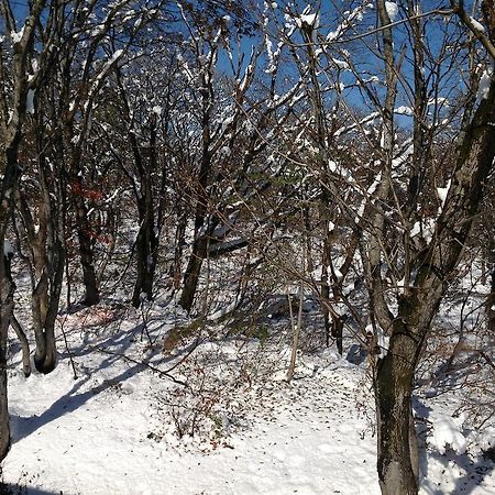 Myoko Kogen Pension Yamasan 外观 照片