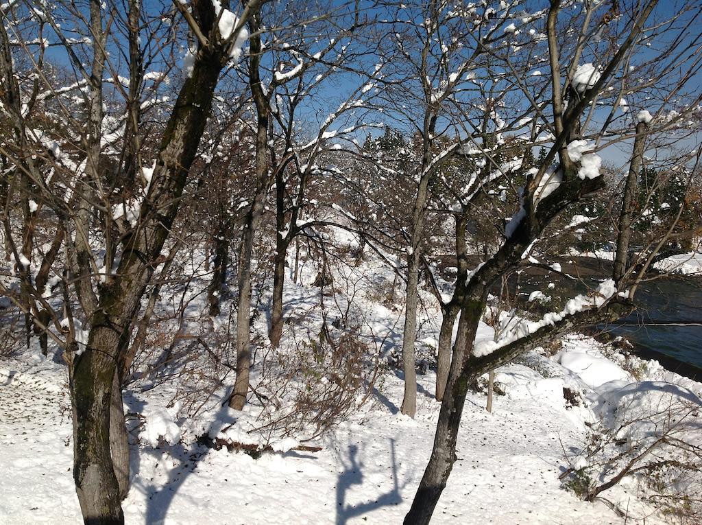 Myoko Kogen Pension Yamasan 外观 照片