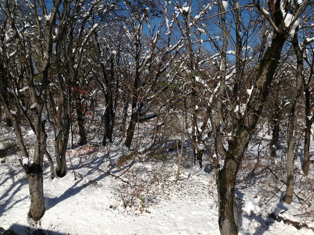 Myoko Kogen Pension Yamasan 外观 照片