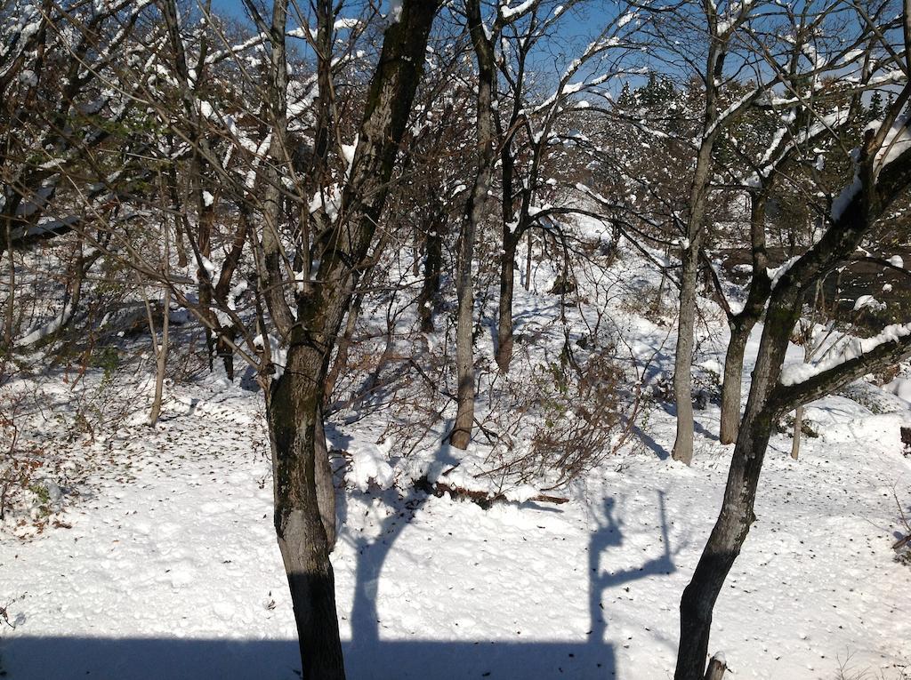 Myoko Kogen Pension Yamasan 外观 照片
